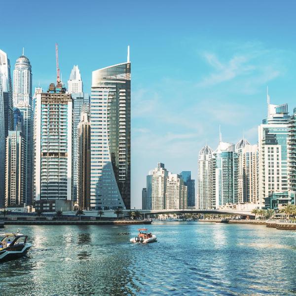 Qui fugiat obcaecati 12