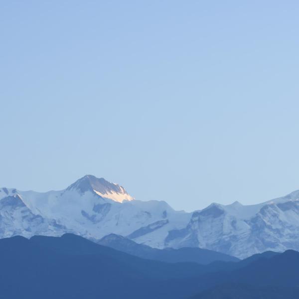 Ut consectetur asper w